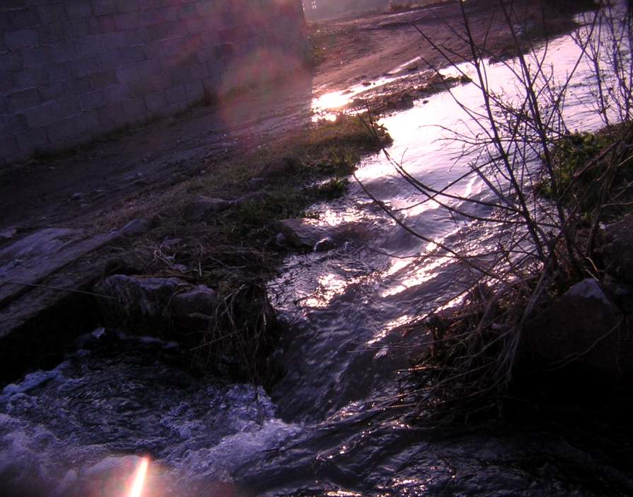 漫步夕阳西下前.(冬日田野)