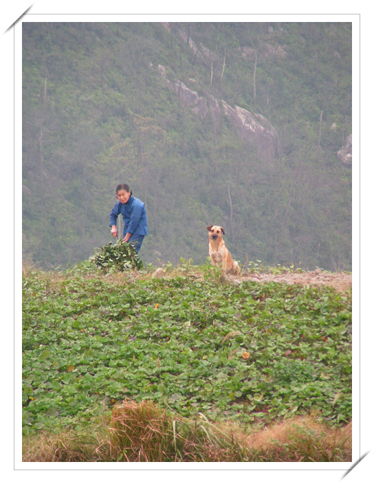 2005.10.15-16临海汛桥-尤溪