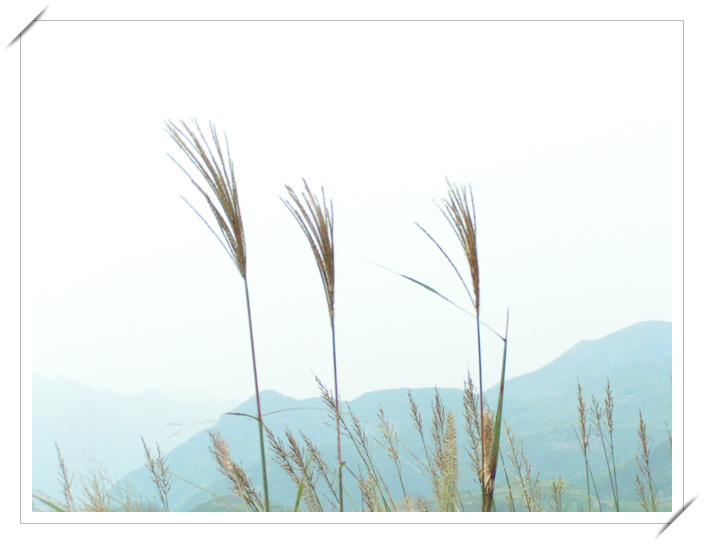 2005.10.15-16临海汛桥-尤溪