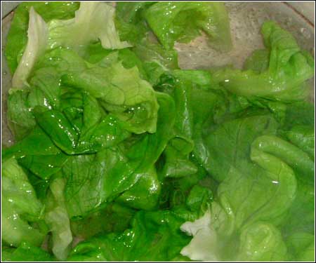 [转帖]破解广告摄影照片特效之谜