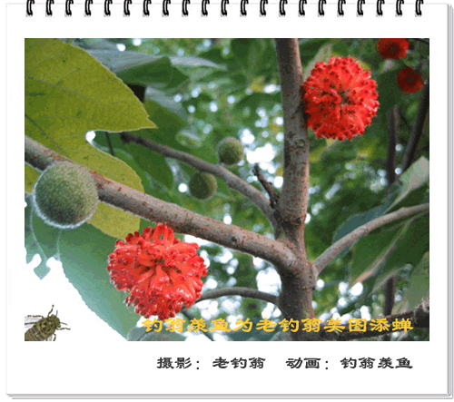 [转帖]你以前绝对没见过的图片