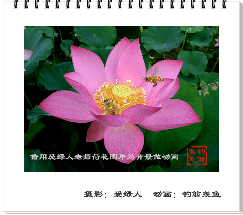 [转帖]你以前绝对没见过的图片