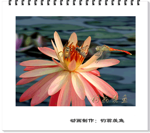 [转帖]你以前绝对没见过的图片