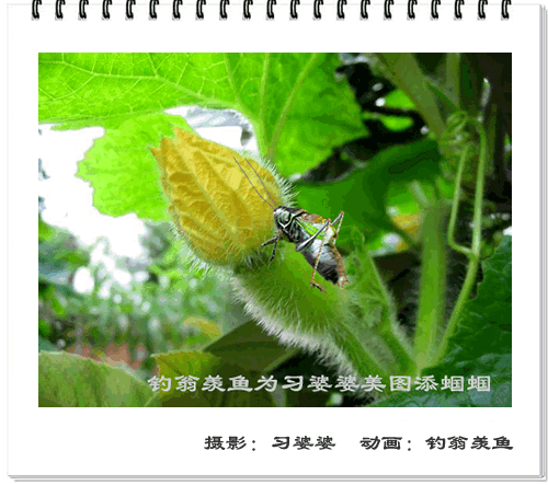 [转帖]你以前绝对没见过的图片