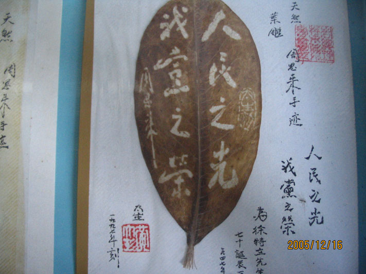 少见的树叶雕刻