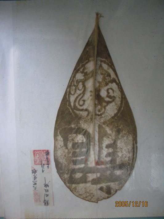 少见的树叶雕刻