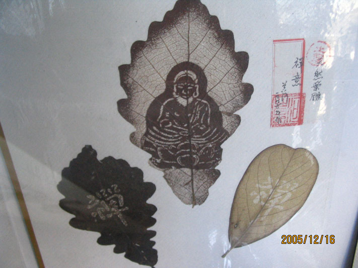 少见的树叶雕刻