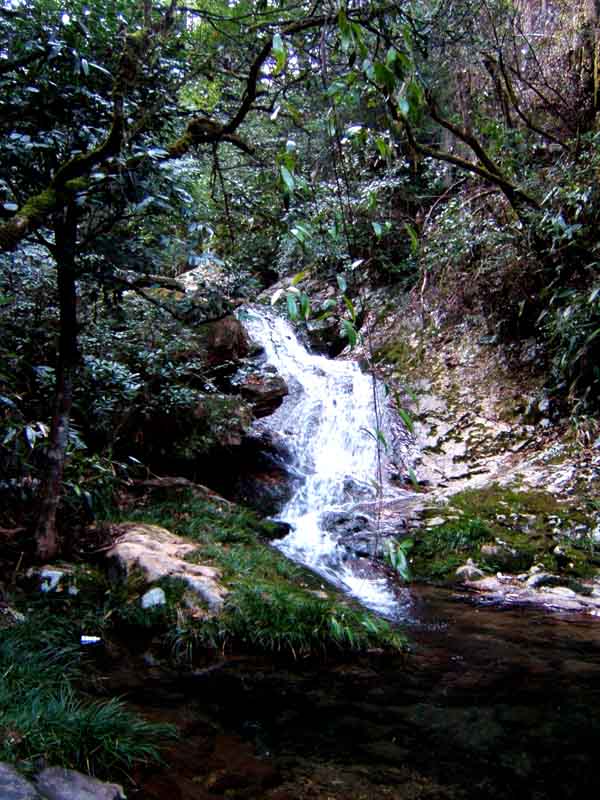 [转帖]浙江自驾游之浙南游，A线----浙江绿谷