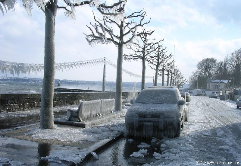 待到来年雪化时