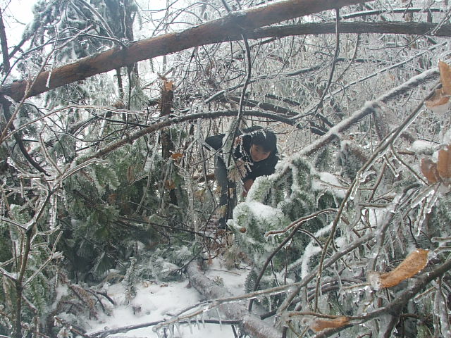 lX584HPC.jpg