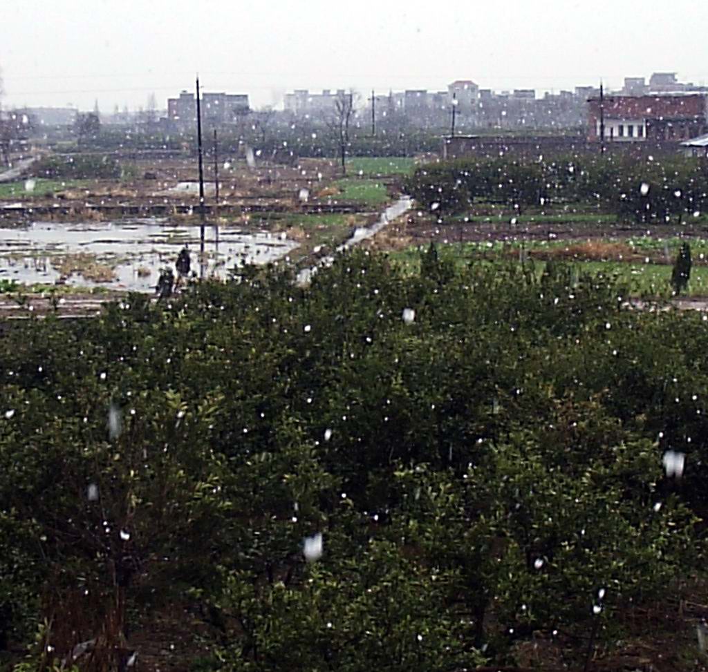 飞雪,又见飞雪