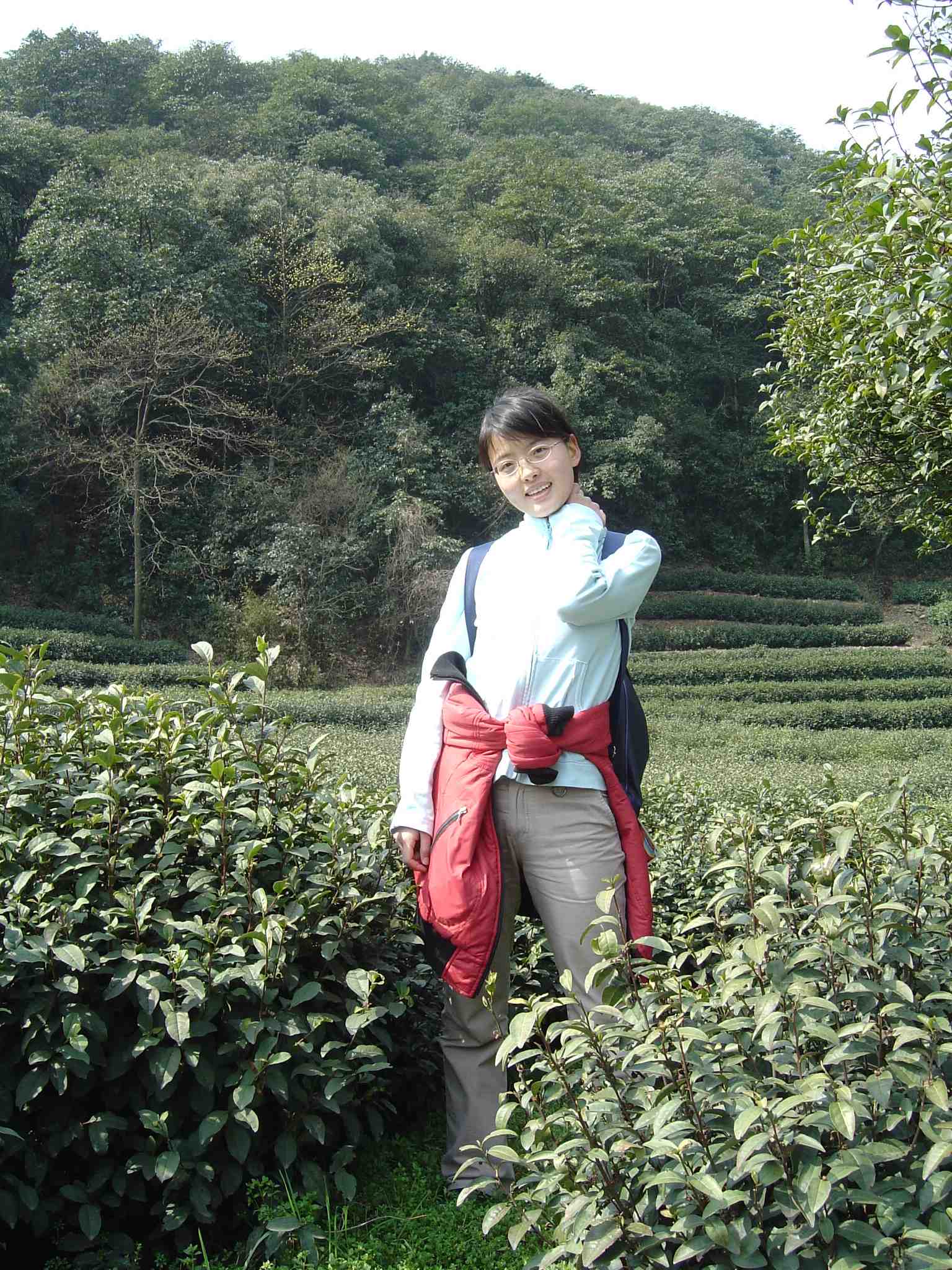 你们走黄岩，我只能走西湖群山了