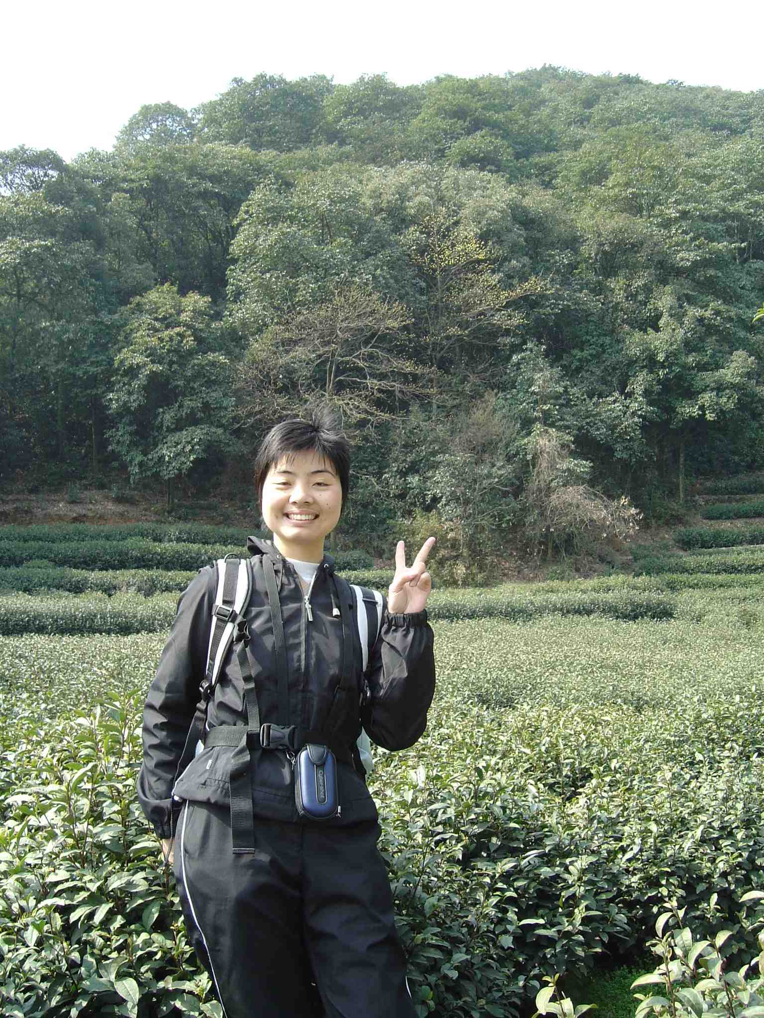 你们走黄岩，我只能走西湖群山了