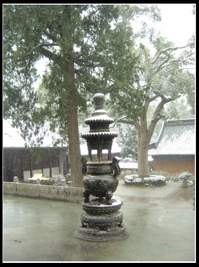 [分享]乱拍在春雪皑皑处!