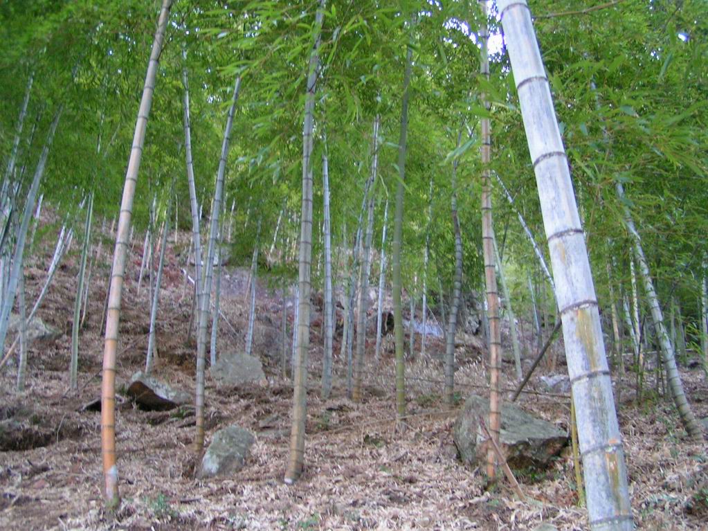 2005.3.18-20浙东之行照片