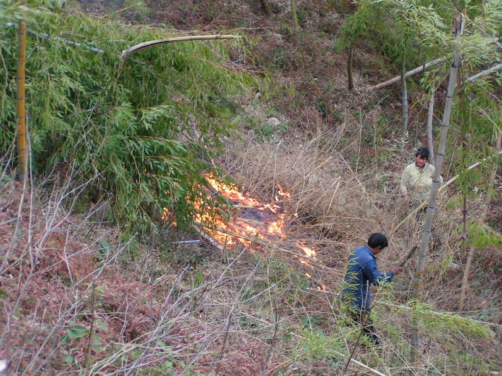 2005.3.18-20浙东之行照片