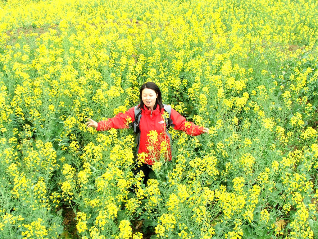 菜花黄了～～～～～
