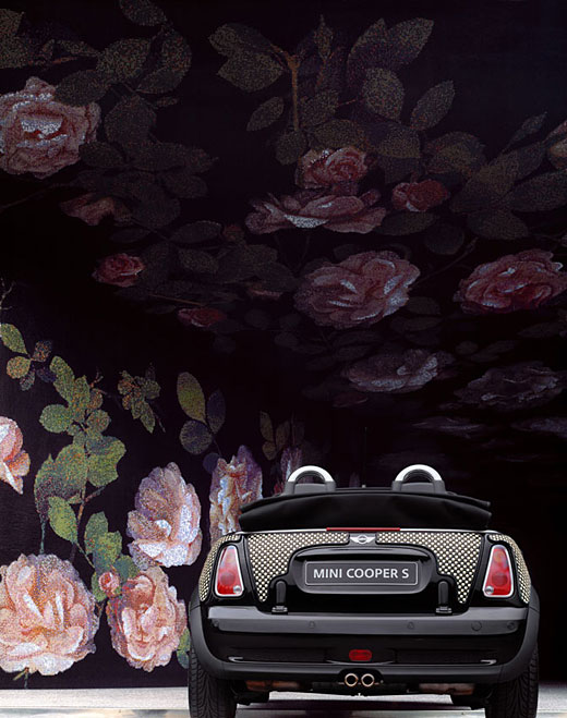 ~~~彩色的MINI~~~