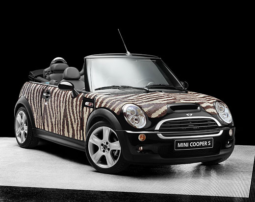~~~彩色的MINI~~~