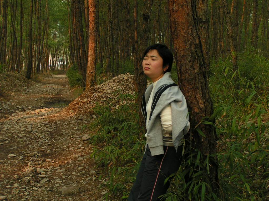 2005.4.2一天的活动