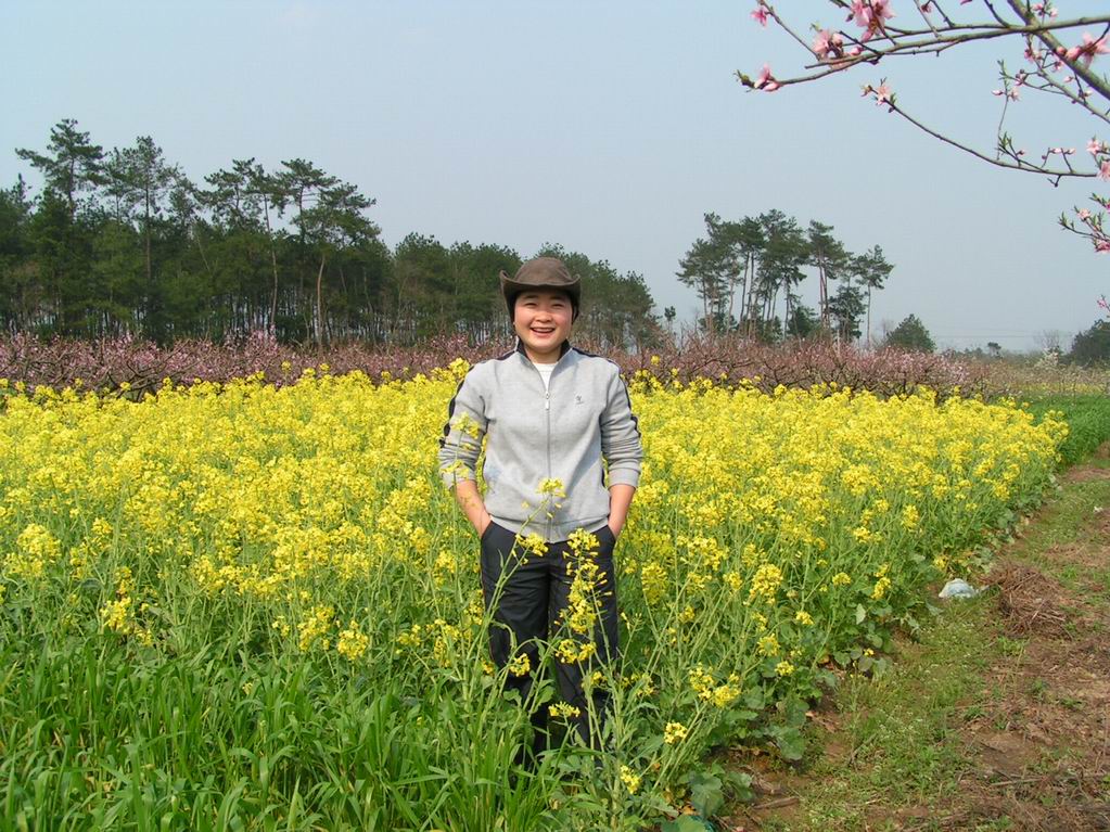2005.4.2一天的活动