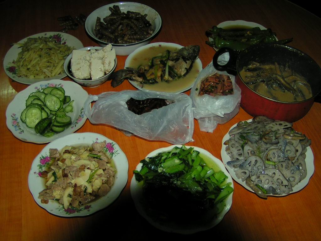 2005.4.2一天的活动
