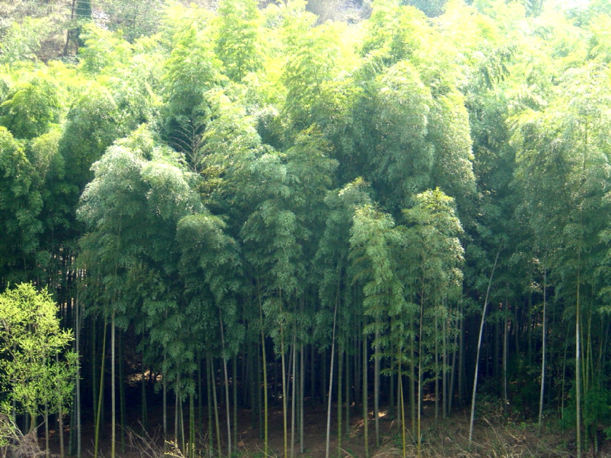寒山湖龙溪之行片断