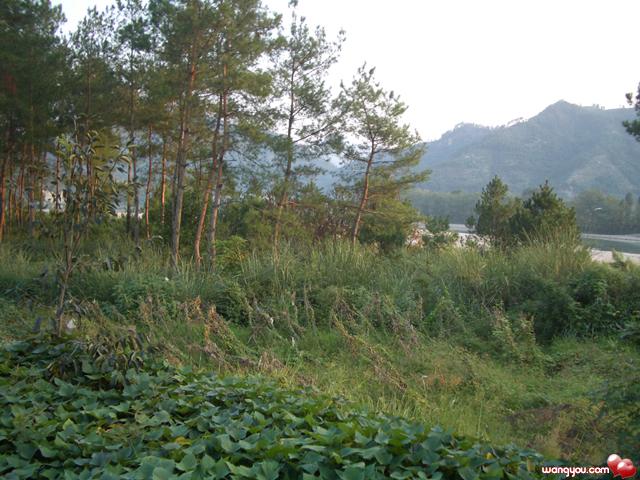 中国最大的户外运动基地《绿地生态野营基地》部分图片