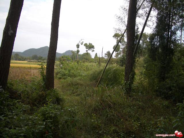 中国最大的户外运动基地《绿地生态野营基地》部分图片