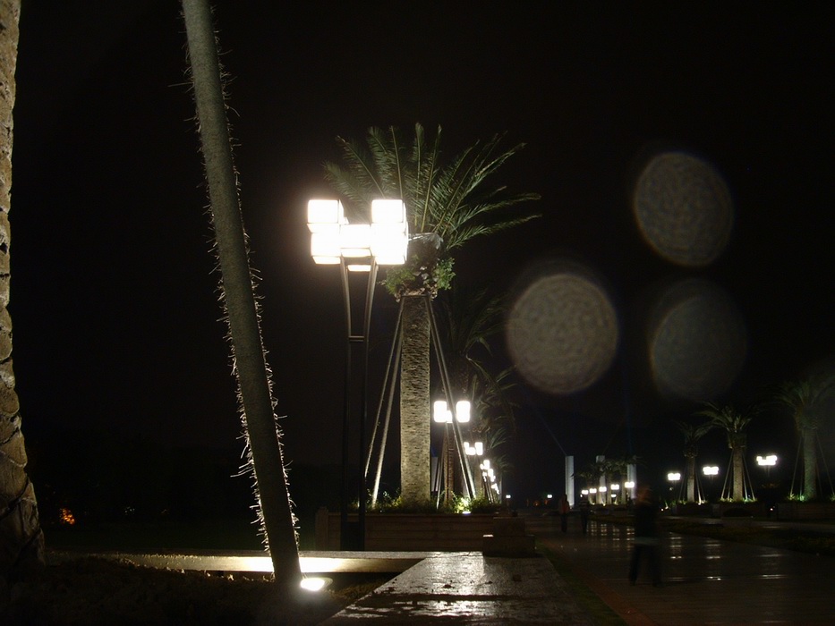 夜色阑珊