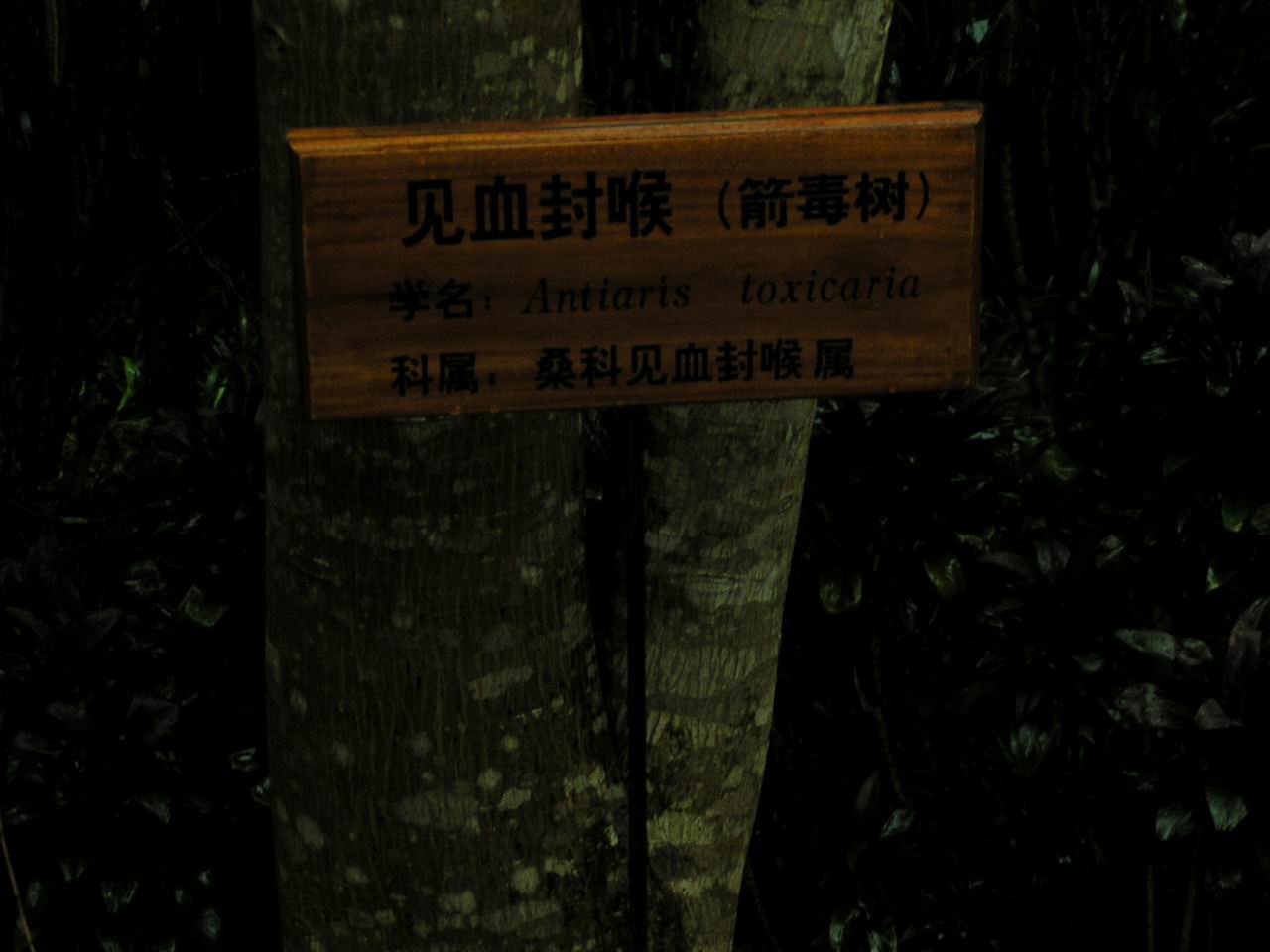 同志们,记得想我