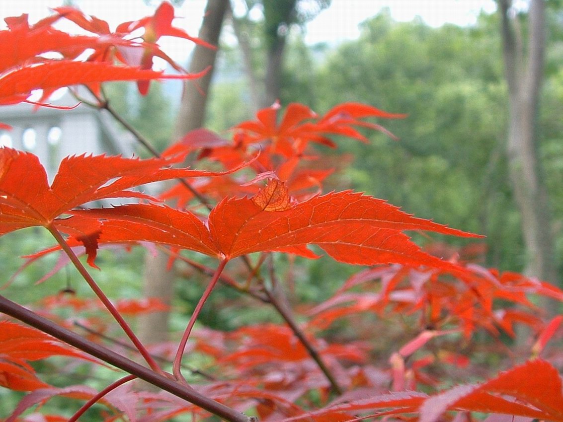 5.4椒江