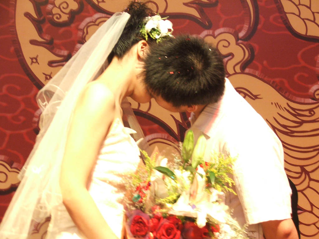 葛大,甜菜婚礼进行曲!!!!