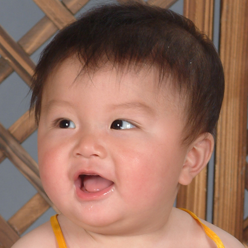 占位