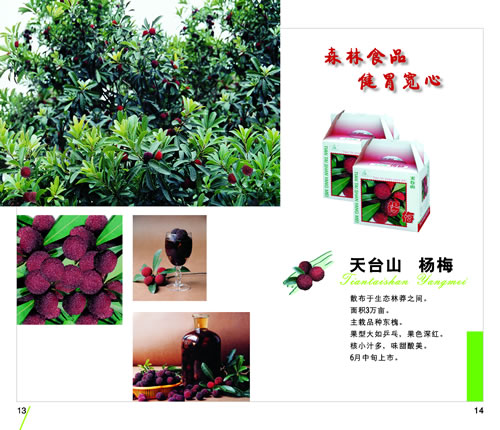 天台山特产，正在更新中……