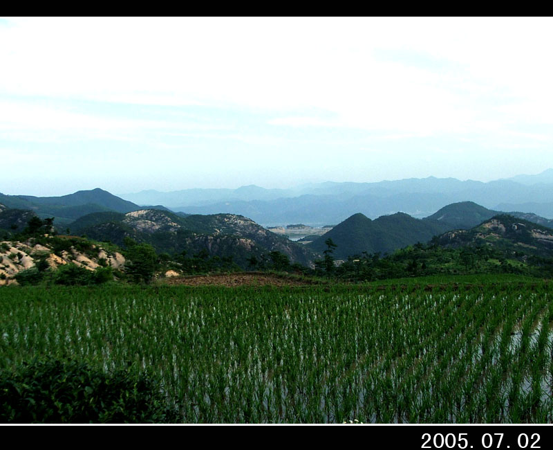 050702百丈溯源