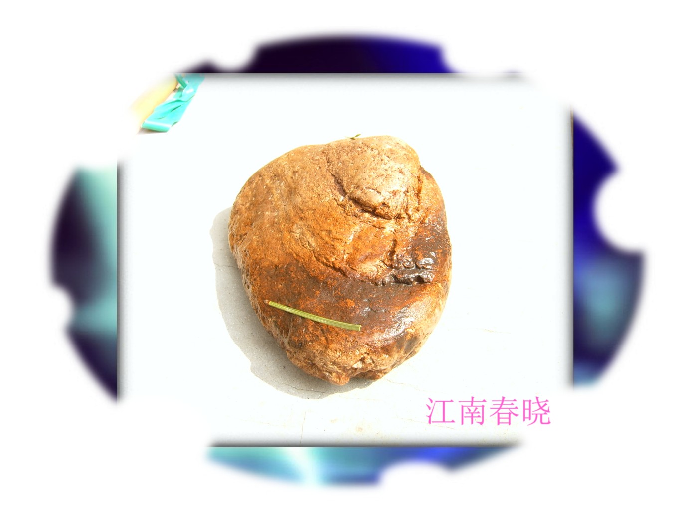 [建议]车友亮相