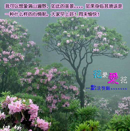 花爱的流水账。。。