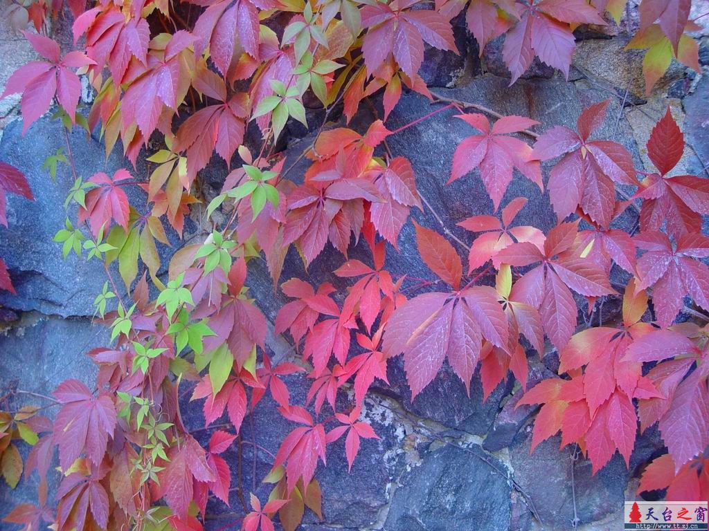 试试