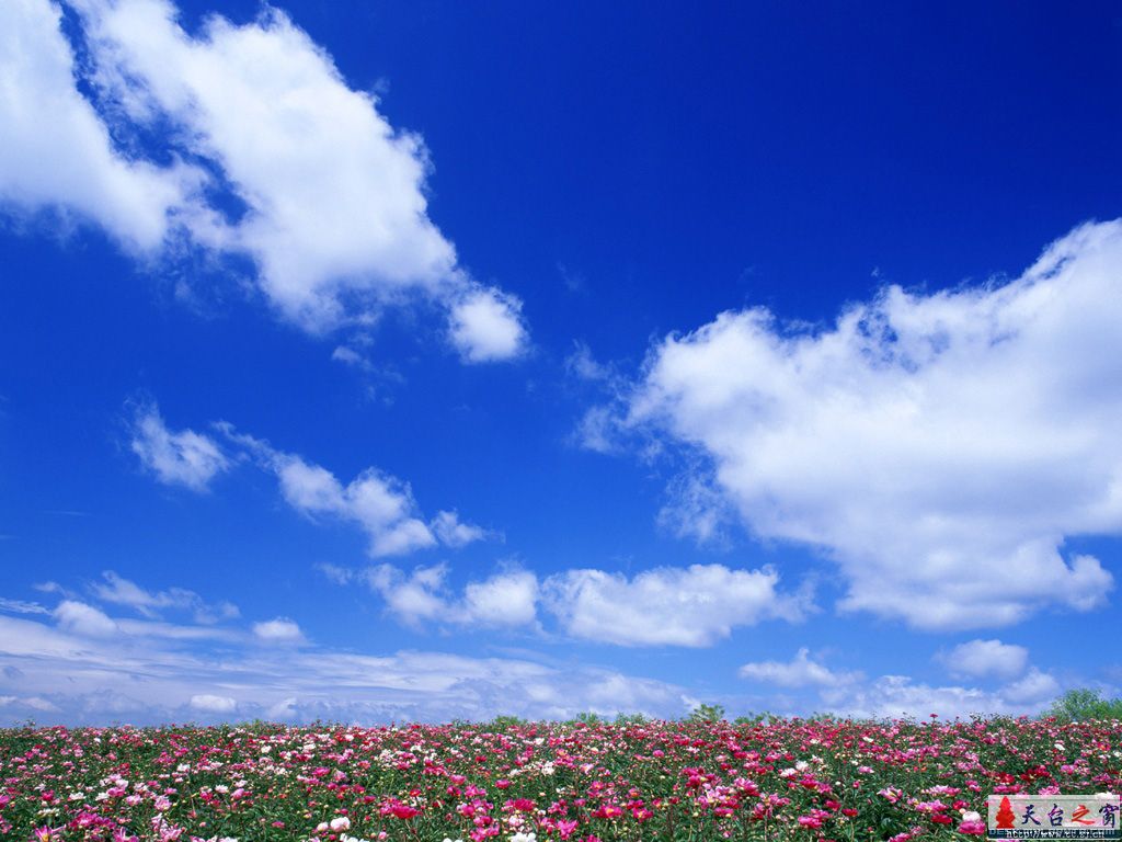 试试