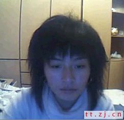 毛兔