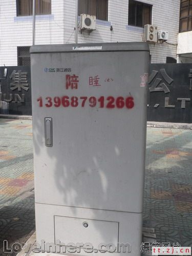 居然还有陪睡的行业？