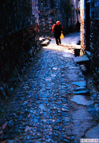 “漂亮宝贝杯” 首届嵊州新昌天台影友联谊赛获奖作品