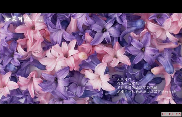 如果可以重来
