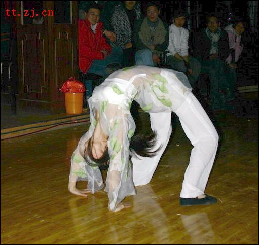 2006网友相约正月正晚会PP