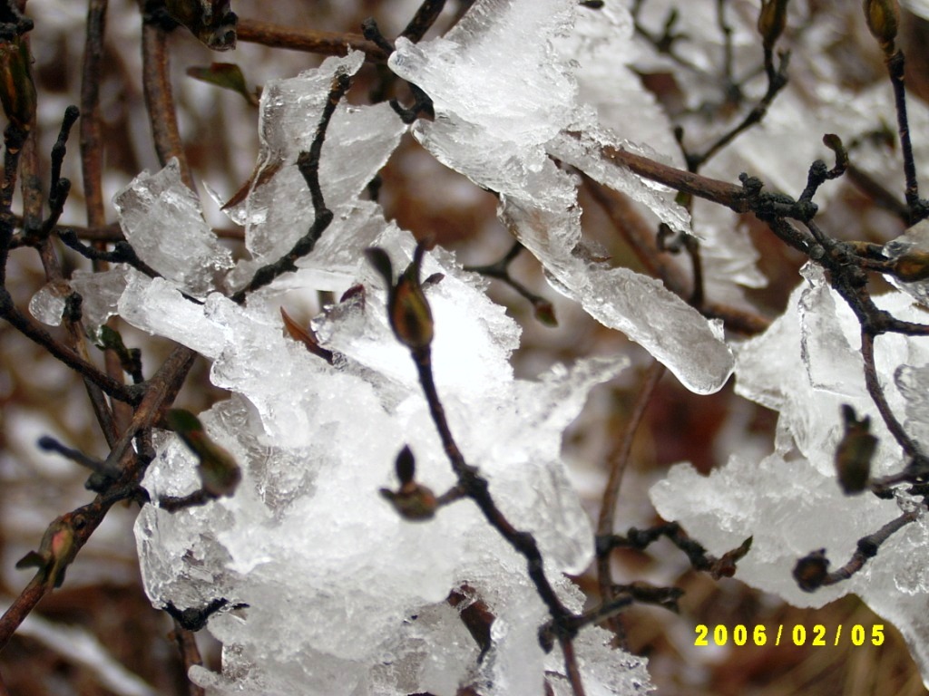 [贴图]大雷山登顶！这个寒假没白过！