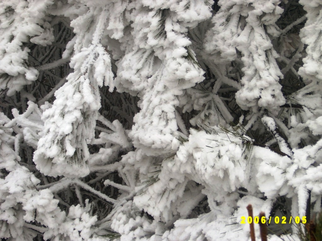 [贴图]大雷山登顶！这个寒假没白过！