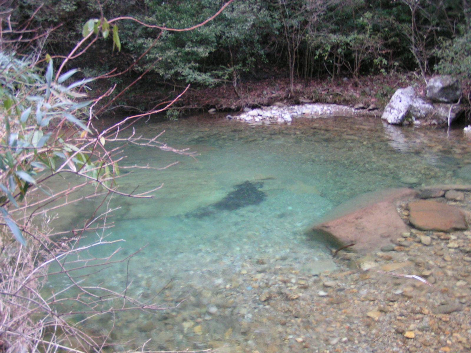 大雷山照片