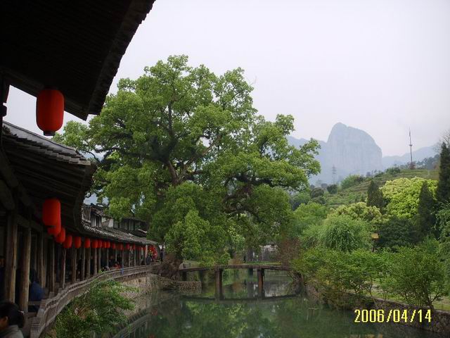 跟着导游玩雁荡---楠溪江