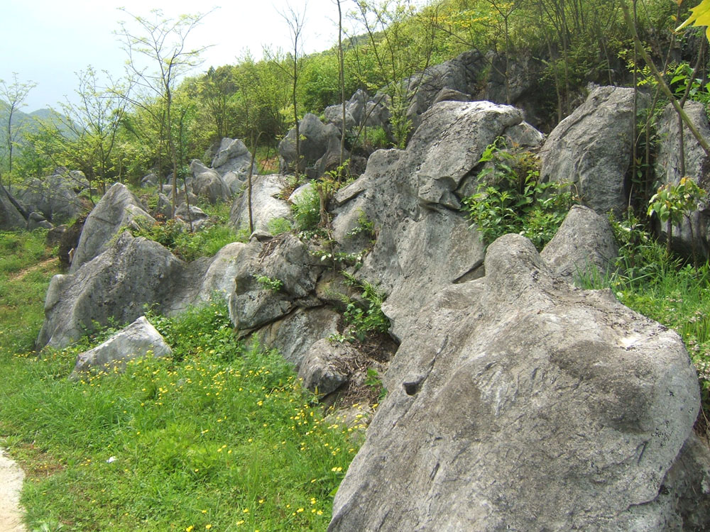 江西玉山县天梁风景区 06.4.8